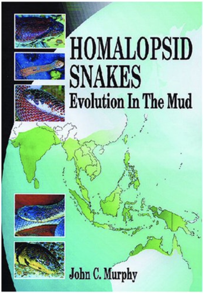 Homalopsid Snakes